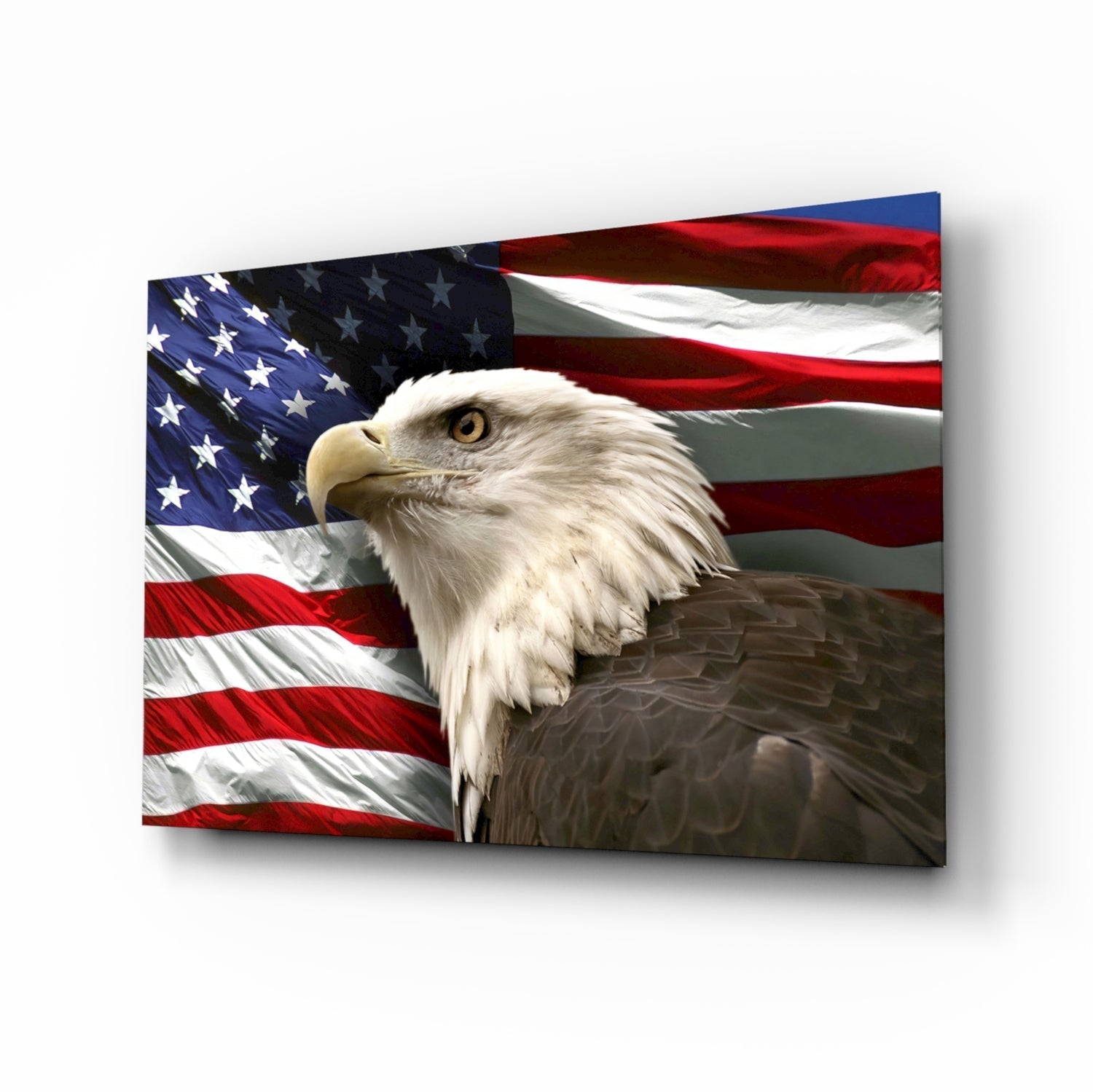 Proud Portrait Waving Flag American Eagle Glass Wall Art