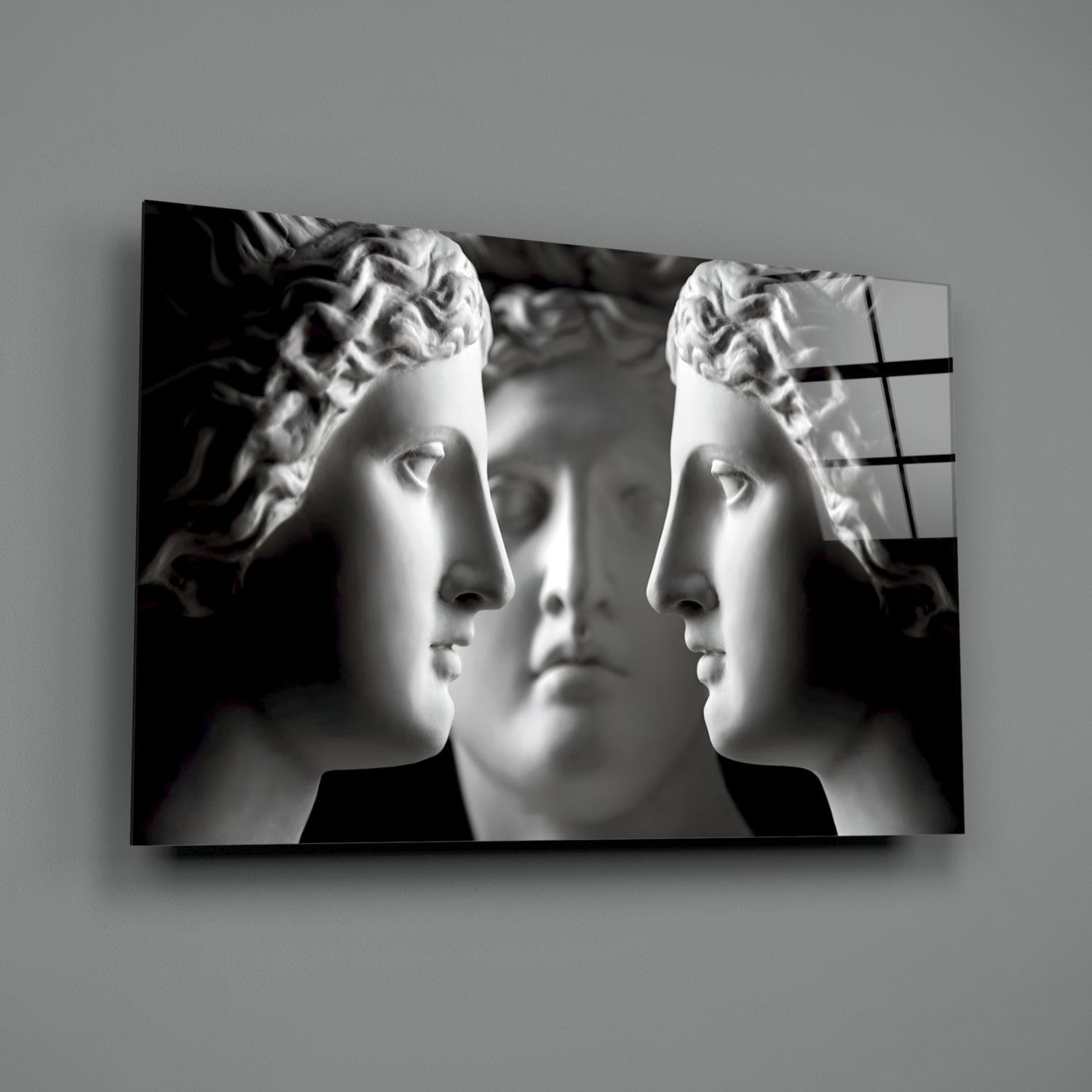 Black and White Mirrored Statue Faces Glass Wall Art