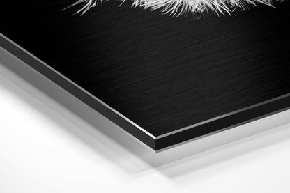 Dandelion Brushed Aluminium Dibond Wall Art