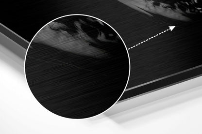 Chrome Skull Brushed Aluminium Dibond Wall Art