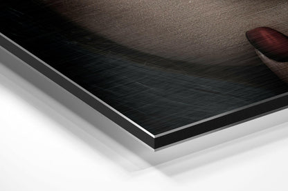 Bangs Brushed Aluminium Dibond Wall Art