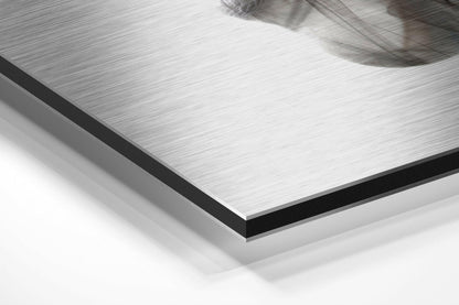Smoked Face Brushed Aluminium Dibond Wall Art