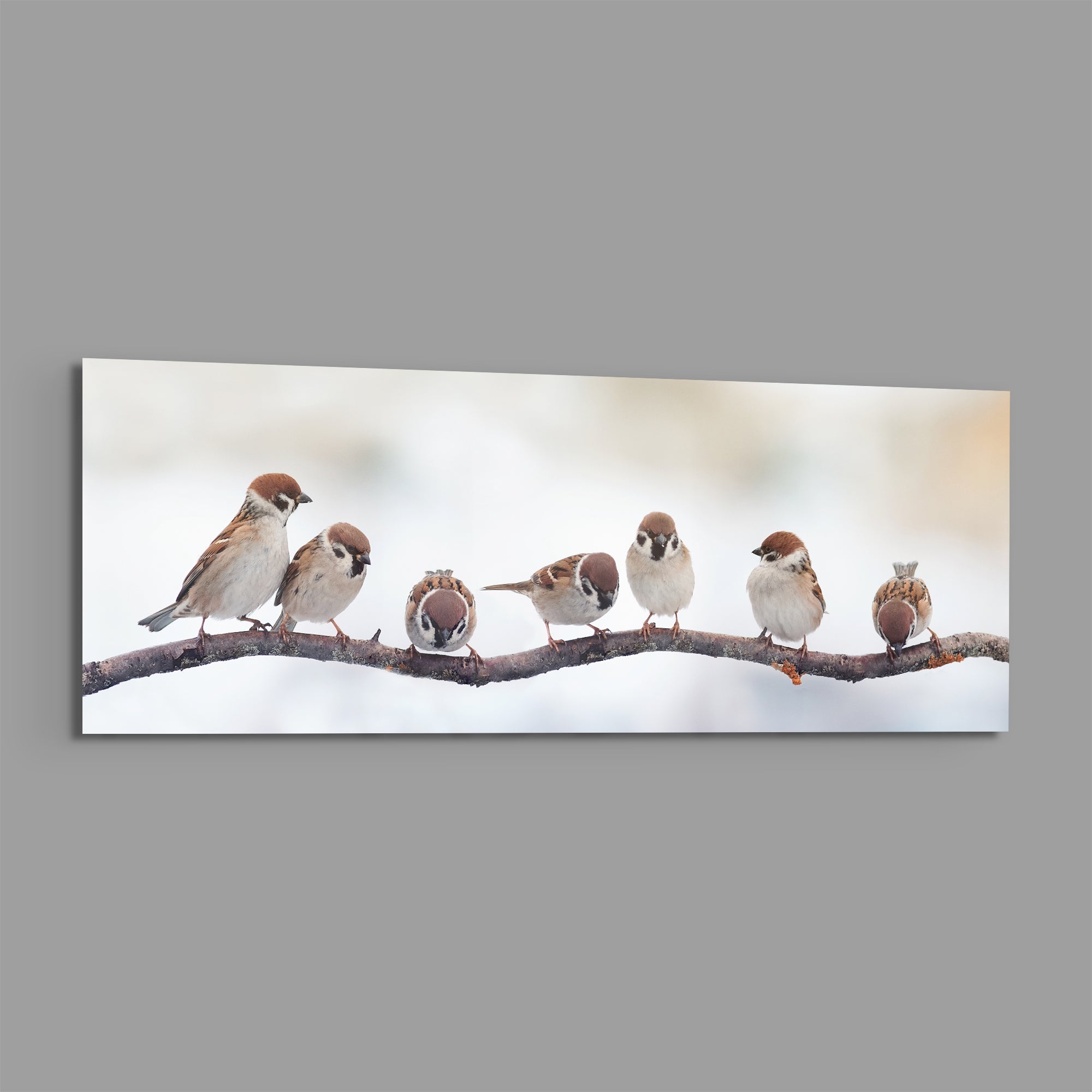 Seven Sparrows On A Bare Branch Glass Wall Art