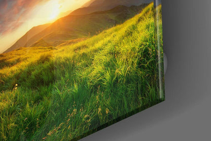 Coral Cloud Sunrise Grass Valley Glass Wall Art
