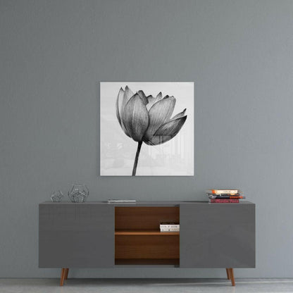 Translucent Gray Tulip Glass Wall Art
