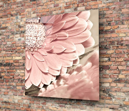 Soft Pink Gerbera Daisy Macro Flower Glass Wall Art