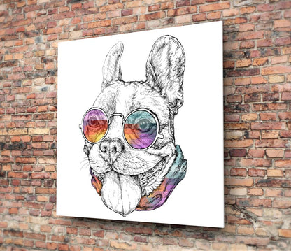 Rainbow Glasses Sketch Bulldog Glass Wall Art