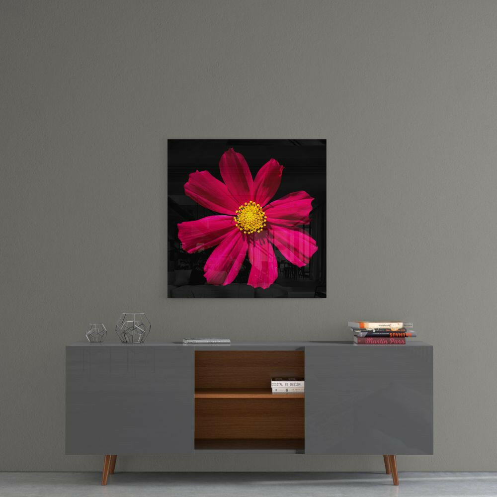 Magenta Cosmos Yellow Center Bloom Glass Wall Art