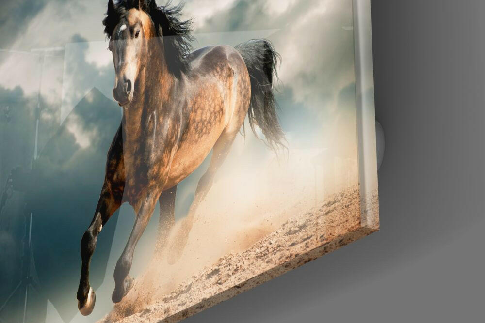 Chestnut Horse In Storm Dust Glass Wall Art