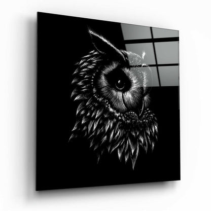 Sketched Owl Portrait Black Glass Wall Art