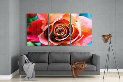 Coral Rose Bloom Triptych Glass Wall Art