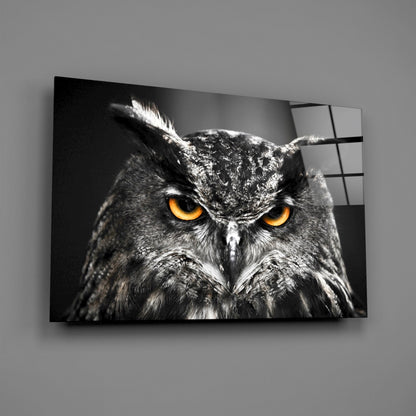 Horned Owl Orange Eyes Glass Wall Art