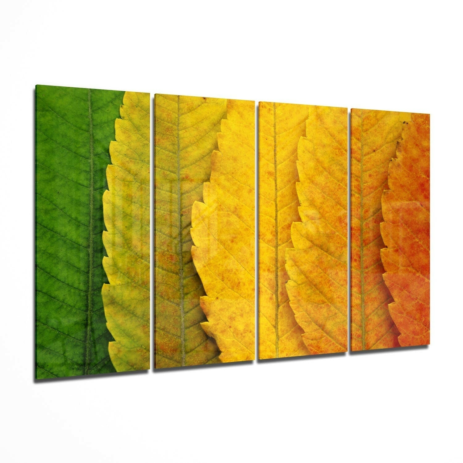 Green to Amber Gradient Leaves 4 Pieces Mega Glass Wall Art