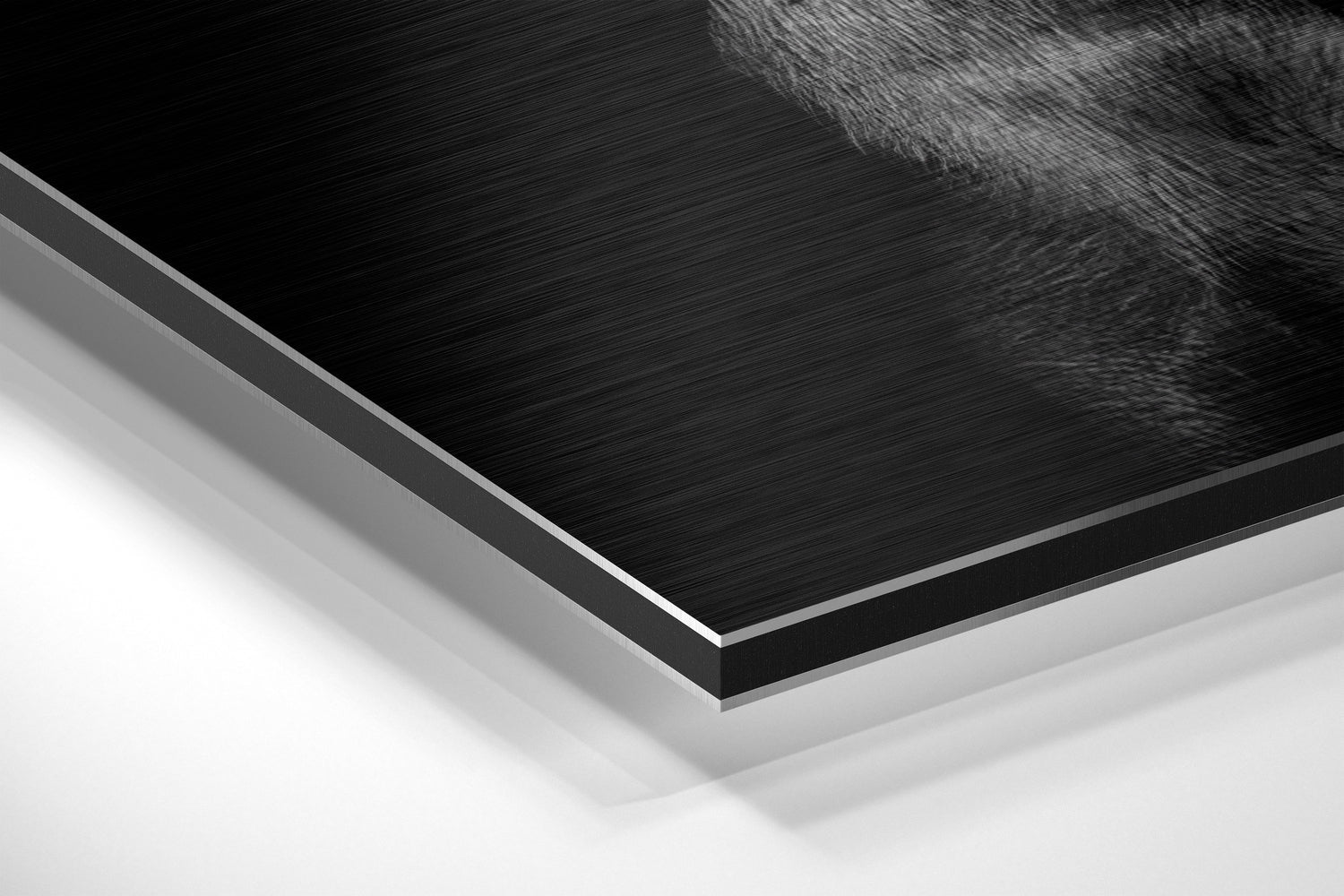 Black Doberman With Pink Pistol Brushed Aluminum Dibond Wall Art