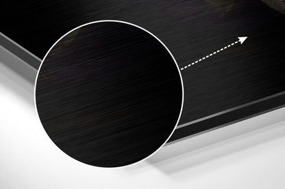 Black Swan Brushed Aluminium Dibond Wall Art