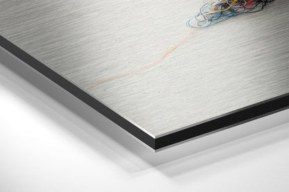 Sparrow Brushed Aluminium Dibond Wall Art
