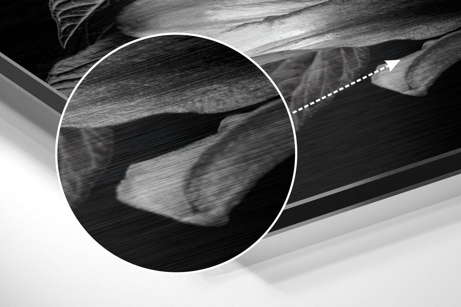 Monochrome Lilies Golden Leaves Brushed Aluminium Dibond Wall Art