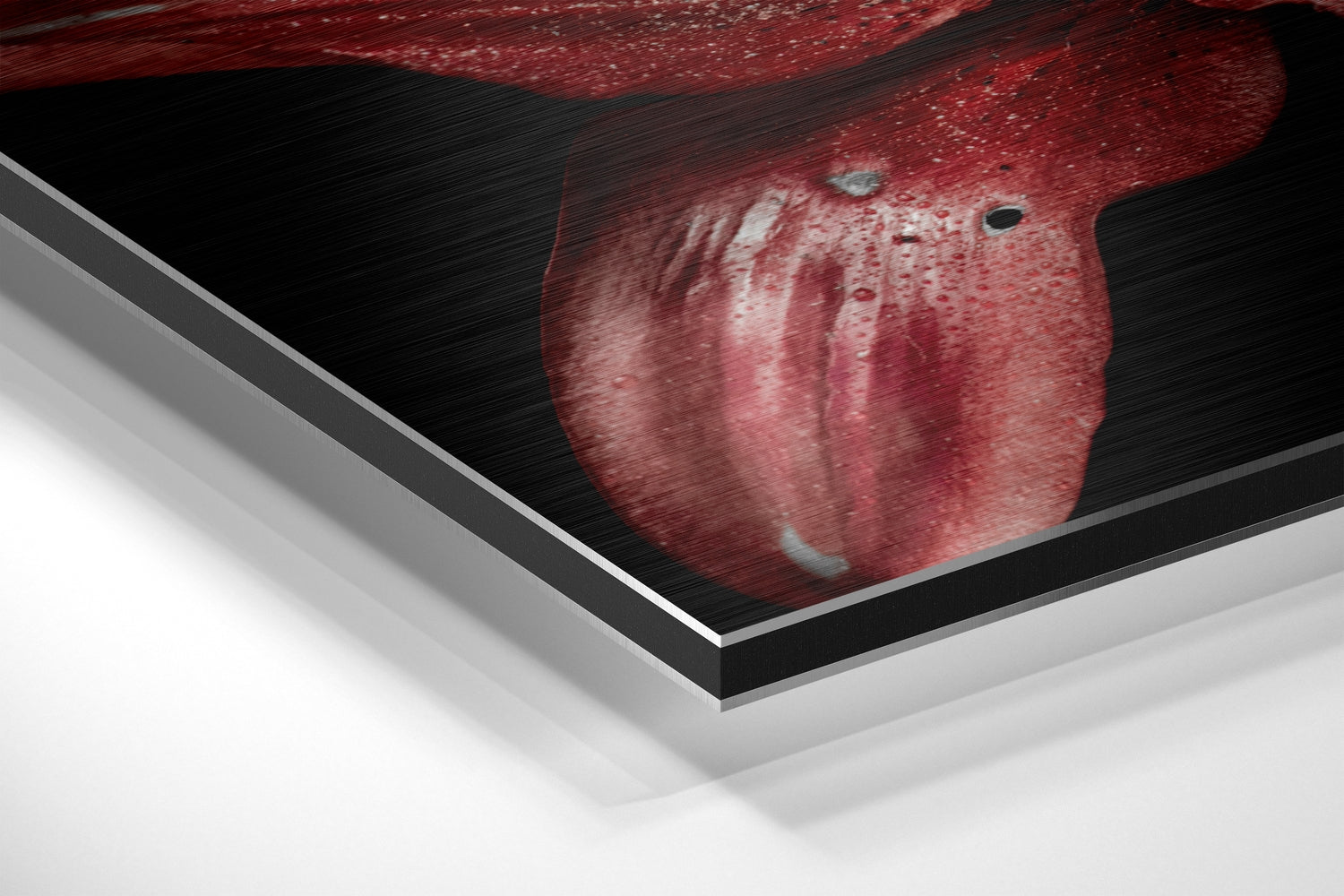 Red Lillium Brushed Aluminium Dibond Wall Art