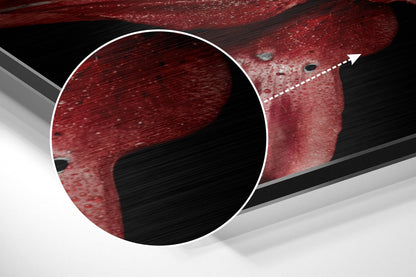 Red Lillium Brushed Aluminium Dibond Wall Art