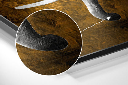 Gray Elephant Amber Backdrop Brushed Aluminium Dibond Wall Art