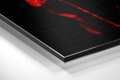 Split Red White Skull Brushed Aluminium Dibond Wall Art
