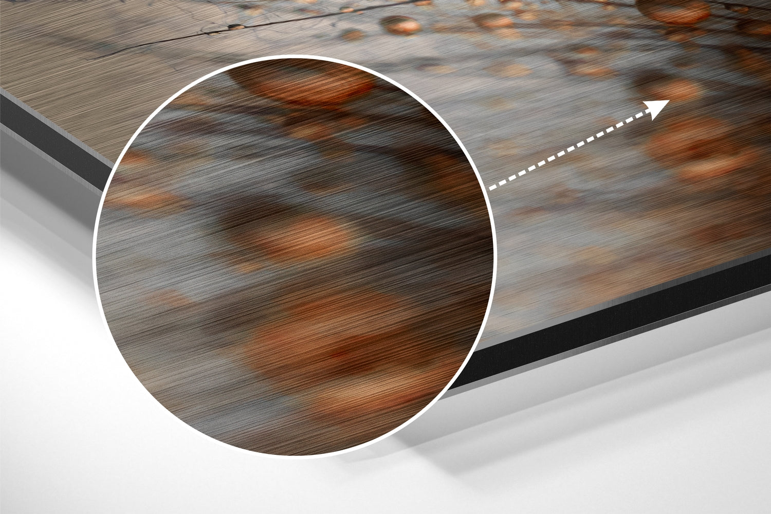 Dandelions Brushed Aluminium Dibond Wall Art