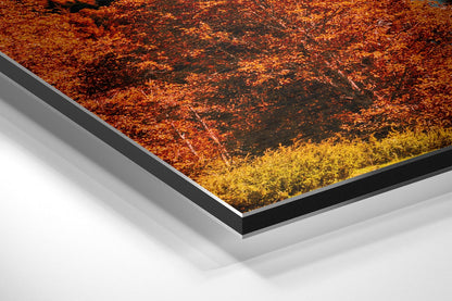Red Pines Alpine Lake Blue Sky Brushed Aluminium Dibond Wall Art
