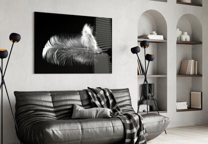 Soft White Feather Black Glass Wall Art