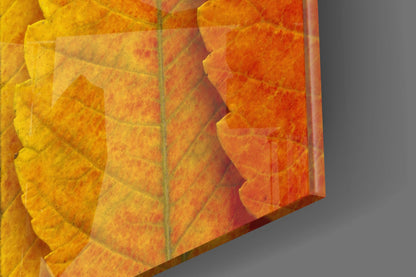Macro Serrated Leaves Color Shift Glass Wall Art