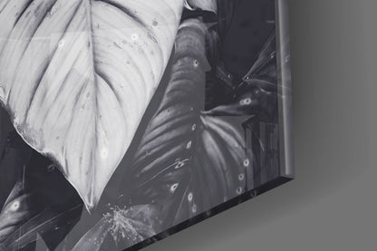 Monochrome Jungle Leaves Glass Wall Art