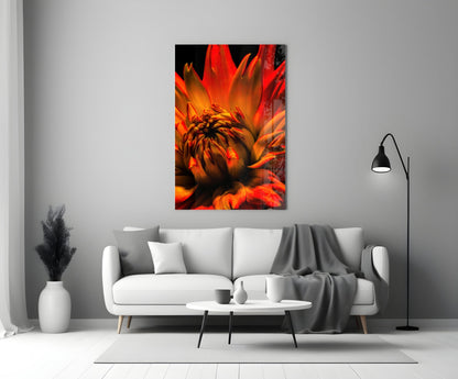 Blazing Orange Spider Dahlia Glass Wall Art
