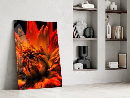 Blazing Orange Spider Dahlia Glass Wall Art