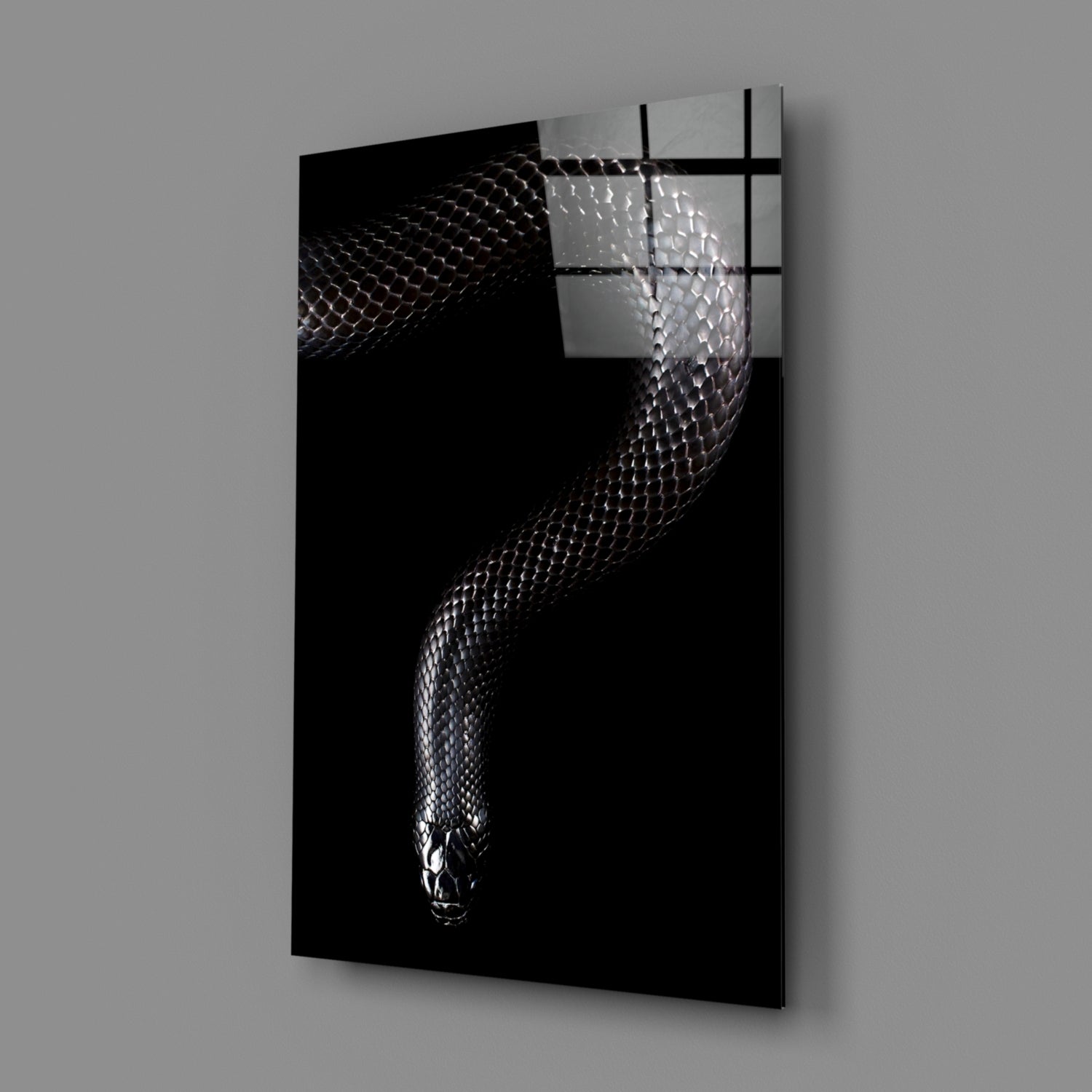 Silver Scaled Snake Descending Dark Glass Wall Art