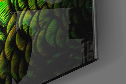 Emerald Peacock Plumage Closeup Glass Wall Art