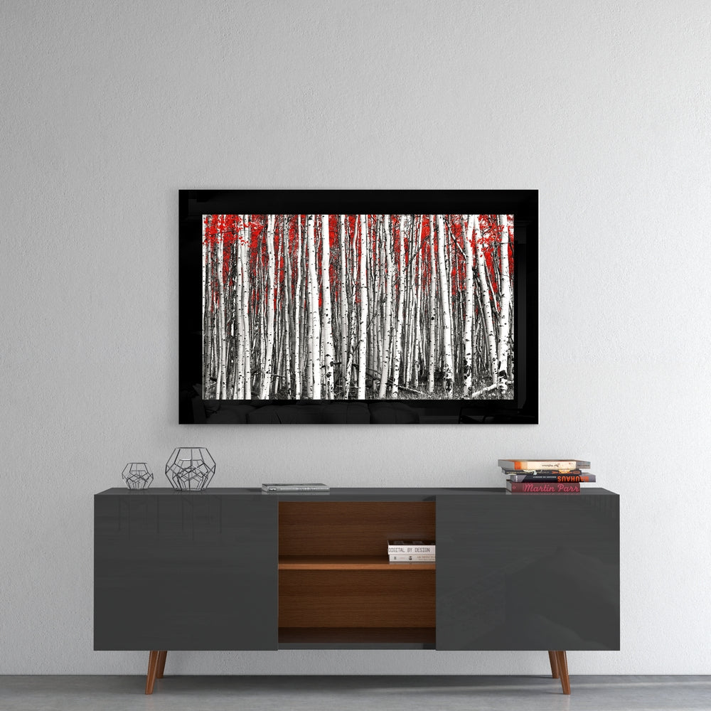 Black Border Birch Grove Red Canopy Glass Wall Art