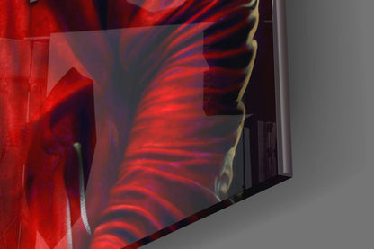 Gorilla in Red Hoodie With Headphones Glass Wall Art