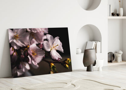Dewdrop Pink Cherry Blossoms Glass Wall Art