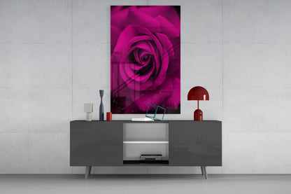 Magenta Velvet Rose Glass Wall Art