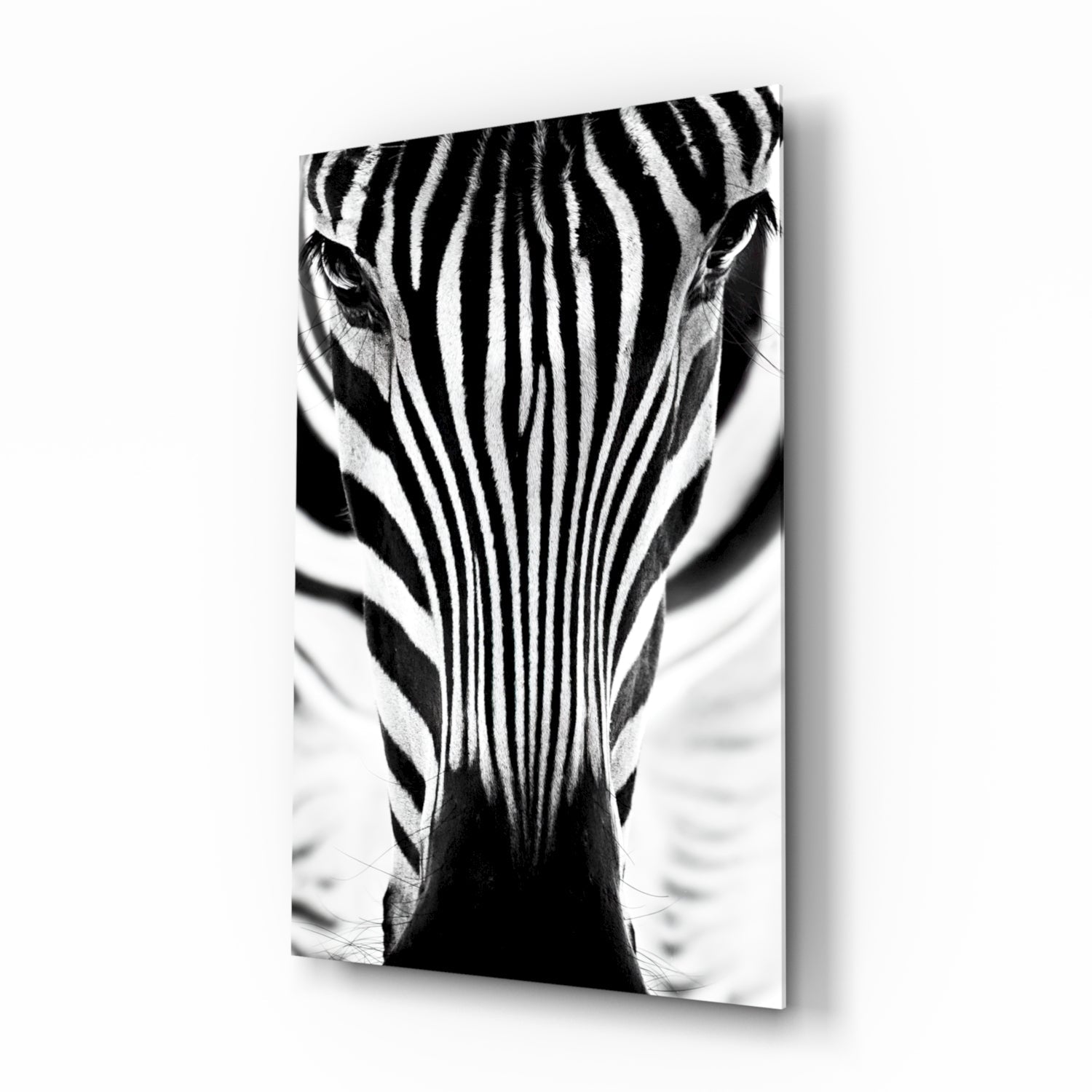 Symmetric Zebra Face Glass Wall Art