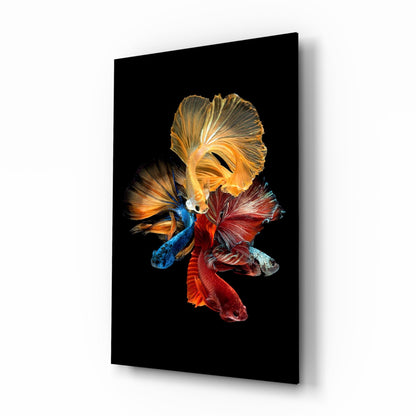 Betta&