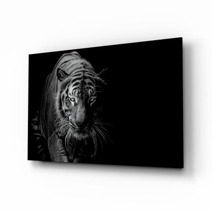 Tiger Emerging From Shadow Glass Wall Art
