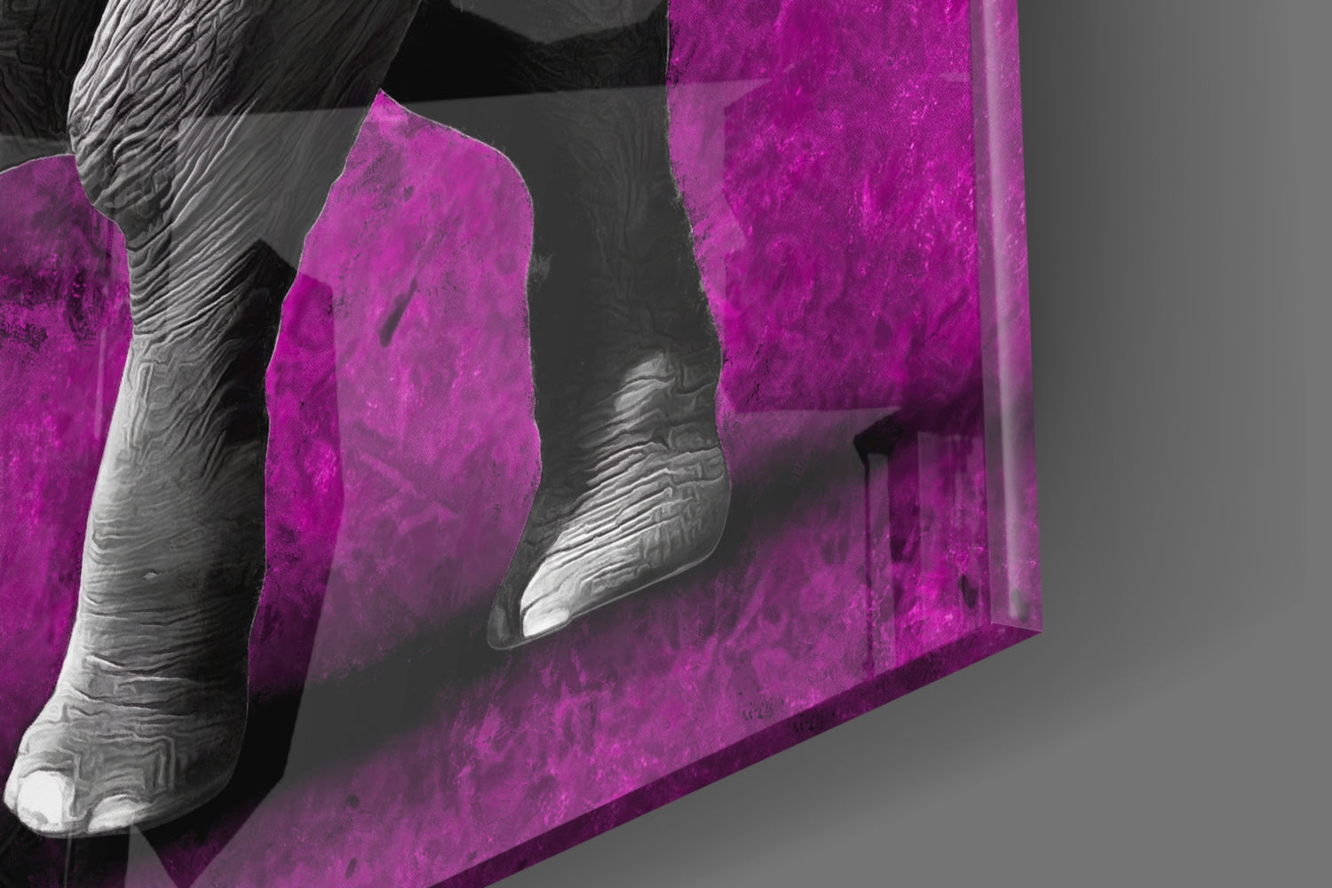 Grayscale Elephant Magenta Backdrop Glass Wall Art