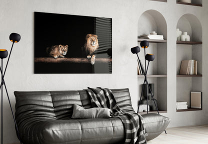 Lion and Lioness Resting on Log Glass Wall Art